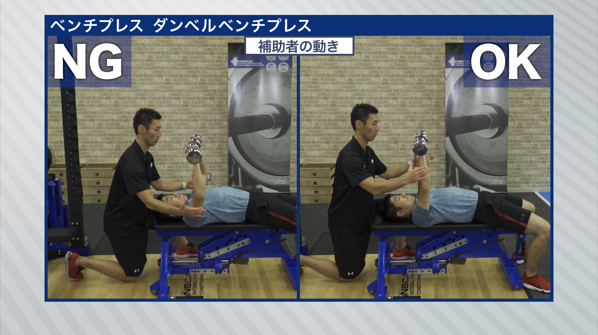 NSCA Japan
